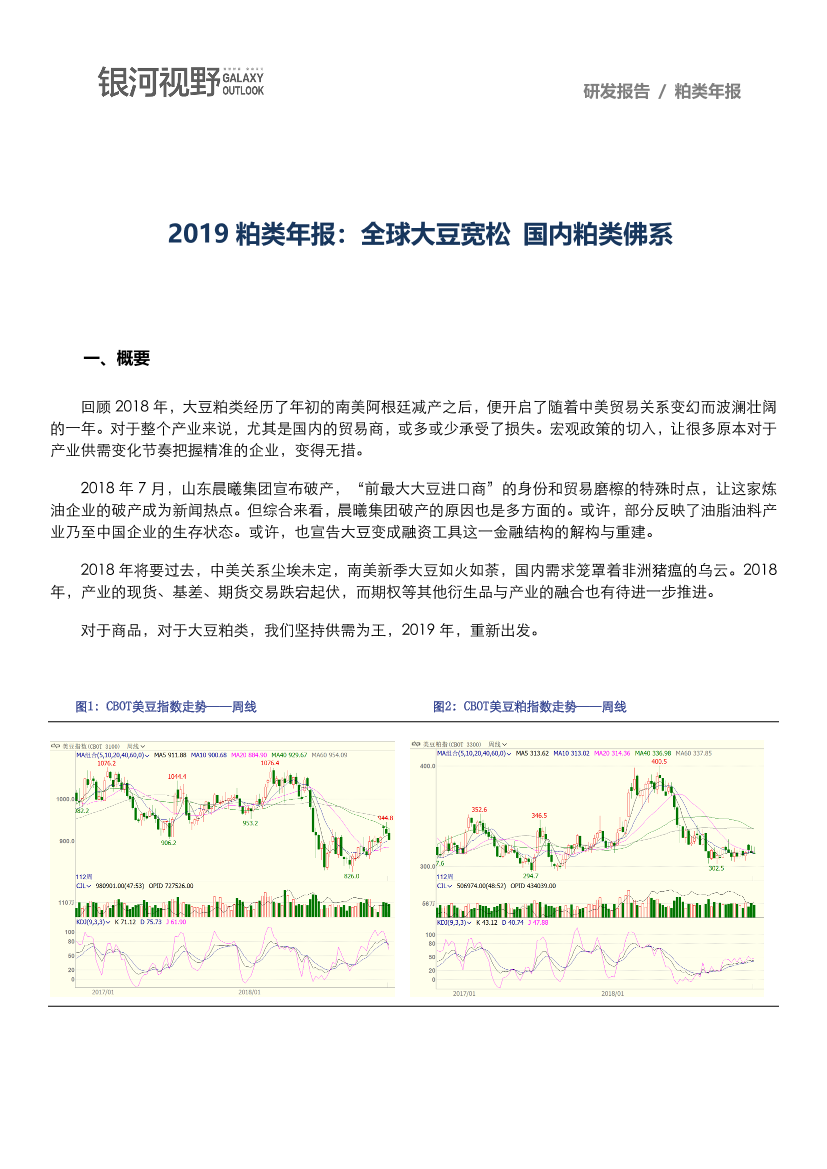 银河期货-2019粕类年报：全球大豆宽松  国内粕类佛系（农产品）-2019.1-14页银河期货-2019粕类年报：全球大豆宽松  国内粕类佛系（农产品）-2019.1-14页_1.png